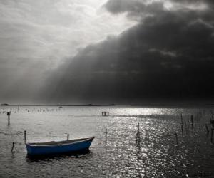 Landscape in the Ebro Delta, Catalonia, Spain puzzle