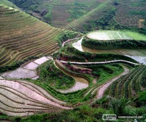 Landscape of rural China puzzle