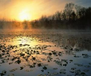 Landscape pond in Ohio puzzle