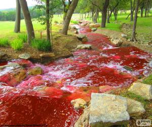 Landscape with a river red puzzle