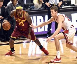 Lebron James playing a basketball game puzzle