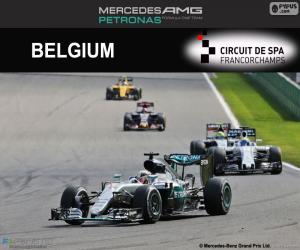 Lewis Hamilton, 2016 Belgian Grand Prix puzzle
