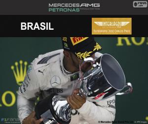 Lewis Hamilton, 2016 Brazilian GP puzzle