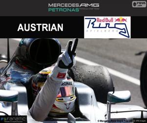 Lewis Hamilton, 2016 British Grand Prix puzzle