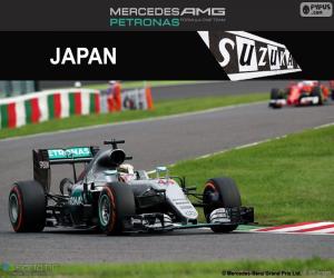 Lewis Hamilton, 2016 Japanese GP puzzle