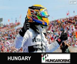 Lewis Hamilton celebrates his victory in the Hungarian Grand Prix 2013 puzzle