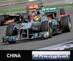 Lewis Hamilton - Mercedes - 2013 Chinese Grand Prix, 3rd classified puzzle