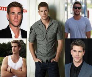 Liam Hemsworth is an Australian actor puzzle