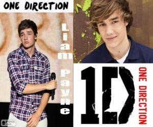 Liam Payne, One Direction puzzle