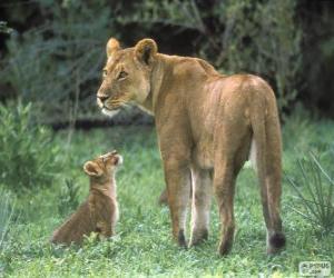 Lioness with her cub puzzle