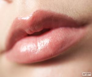 Lips of woman puzzle