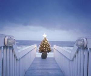 Little Christmas tree decorated sea front puzzle