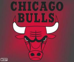 Logo Chicago Bulls, NBA team. Central Division, Eastern Conference puzzle