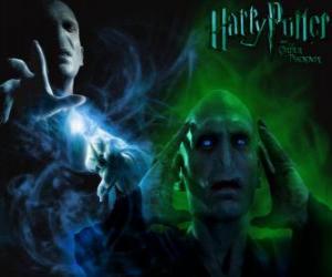 Lord Voldemort is the main enemy of Harry Potter puzzle