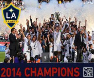 Los Angeles Galaxy, 2014 MLS champion puzzle