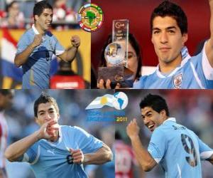 Luis Suarez best player in the Copa America 2011 puzzle