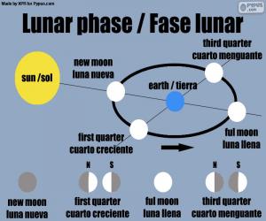 Lunar phase puzzle