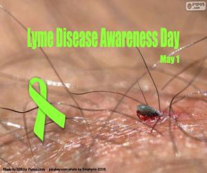 Lyme Disease Awareness Day puzzle