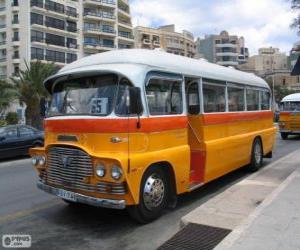 Malta bus puzzle