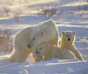 Mama bear with cubs puzzle