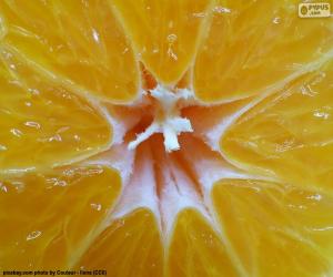 Mandarin orange inside puzzle