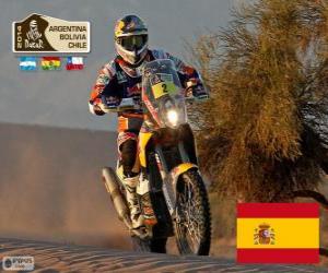 Marc Coma, Dakar 2014 puzzle