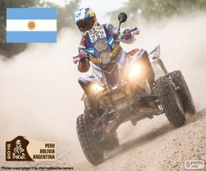 Marcos Patronelli, Dakar 2016 puzzle