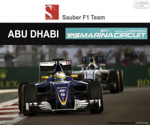 Marcus Ericsson, 2016 Abu Dhabi GP puzzle