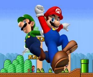 Mario and his brother Luigi, the most famous plumbers puzzle