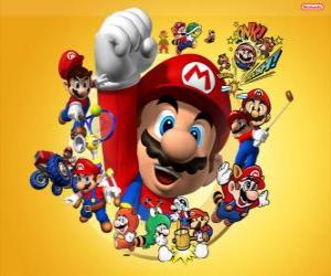 Mario the famous plumber in Nintendo's world. Mario Bros puzzle