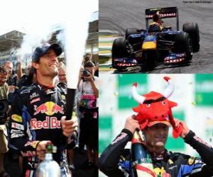 Mark Webber - Red Bull - Interlagos, Brazil Grand Prix 2010 (2 º Classified) puzzle