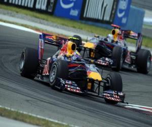 Mark Webber - Red Bull - Istanbul 2010 puzzle