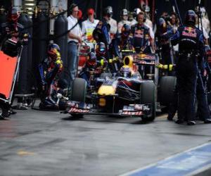 Mark Webber - Red Bull - Melbourne 2010 puzzle