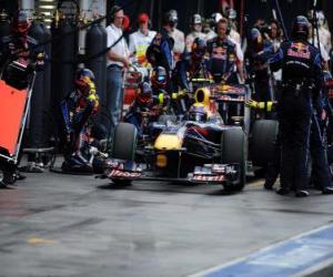 Mark Webber - Red Bull - Melbourne 2010 puzzle