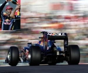 Mark Webber - Red Bull - Suzuka 2010 (2 º Classified) puzzle