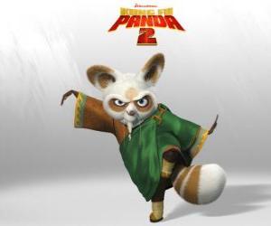 Master Shifu is the coach of all the great kung fu fighters in the country. puzzle