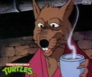 Master Splinter, the mutant rat is the Ninja Turtles's sensei Master puzzle