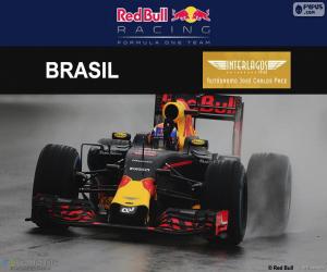 Max Verstappen, 2016 Brazilian GP puzzle