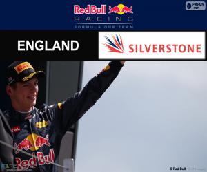 Max Verstappen,  2016 British Grand Prix puzzle