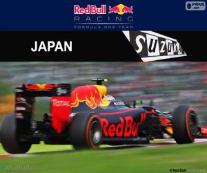 Max Verstappen, 2016 Japanese GP puzzle