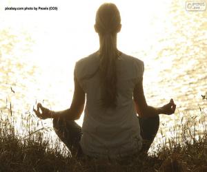 Meditate, Woman, Yoga puzzle