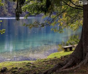 Meditation on the lake puzzle