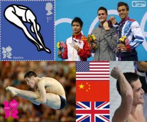 Men's 10 m platform diving London 2012 puzzle