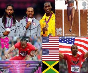 Men's 110 metres hurdles London 2012 puzzle