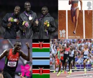 Men's 800 m athletics London 2012 puzzle