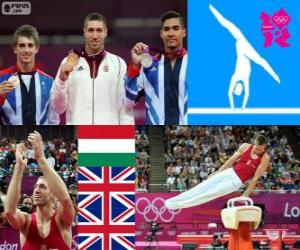 Men's pommel horse London 2012 puzzle