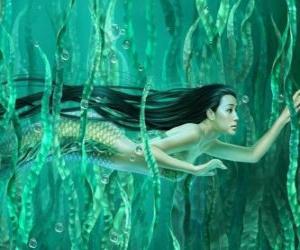 Mermaid swimming amongst the seaweed puzzle