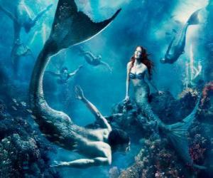 Mermaids or a siren on the seabed puzzle