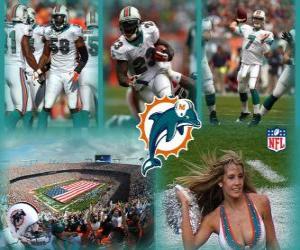 Miami Dolphins puzzle