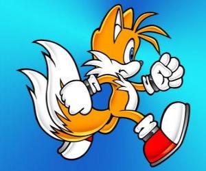 Miles Prower, known as Tails is a fox with two tails that can fly puzzle